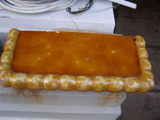 P1250858-1.jpg