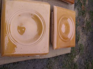 P1230839-1.jpg