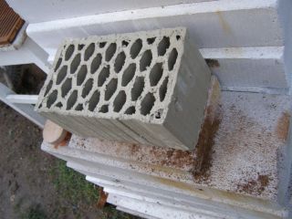 P1250866-1.jpg