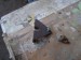 P1250875-1.jpg